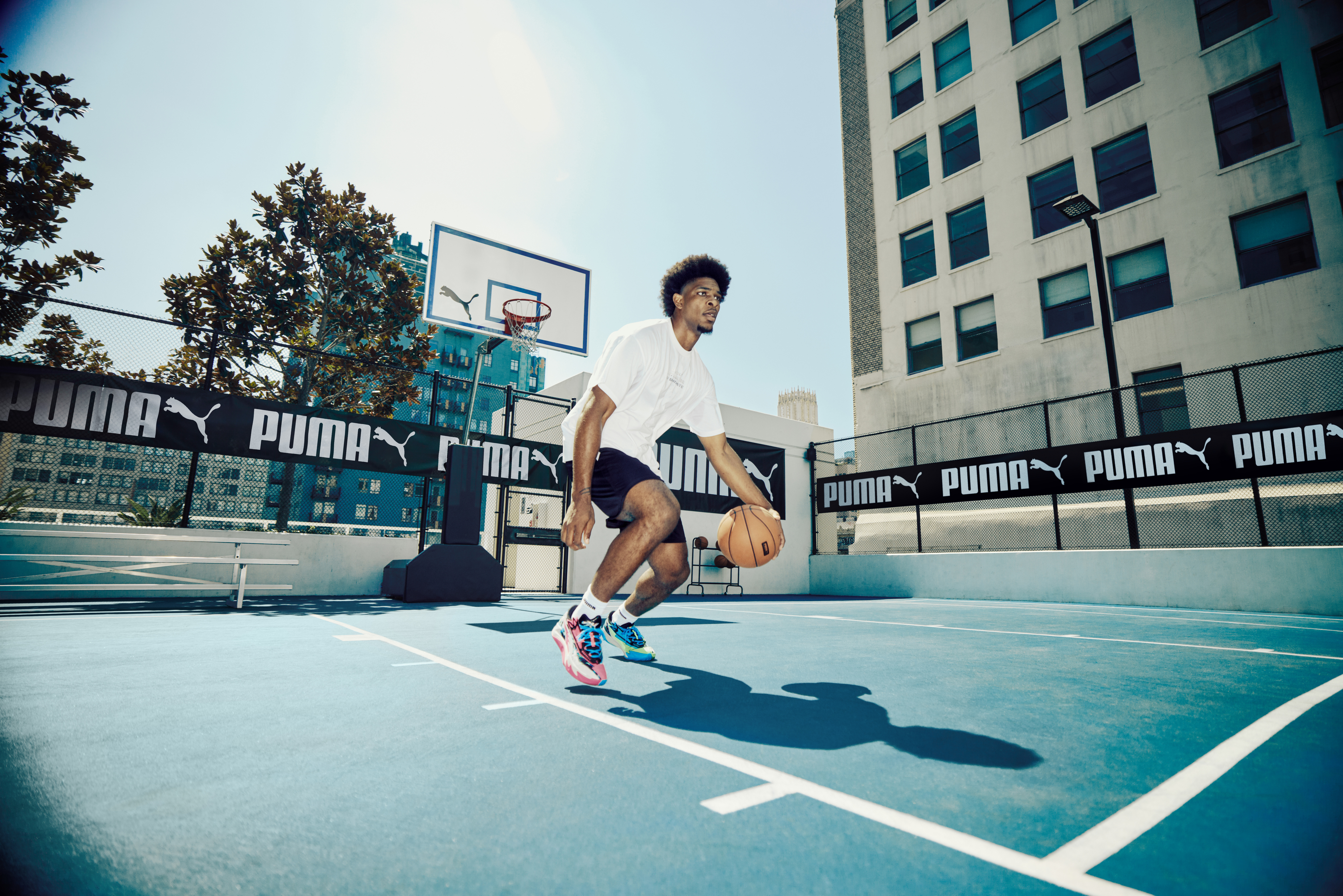 Hoops Legacy