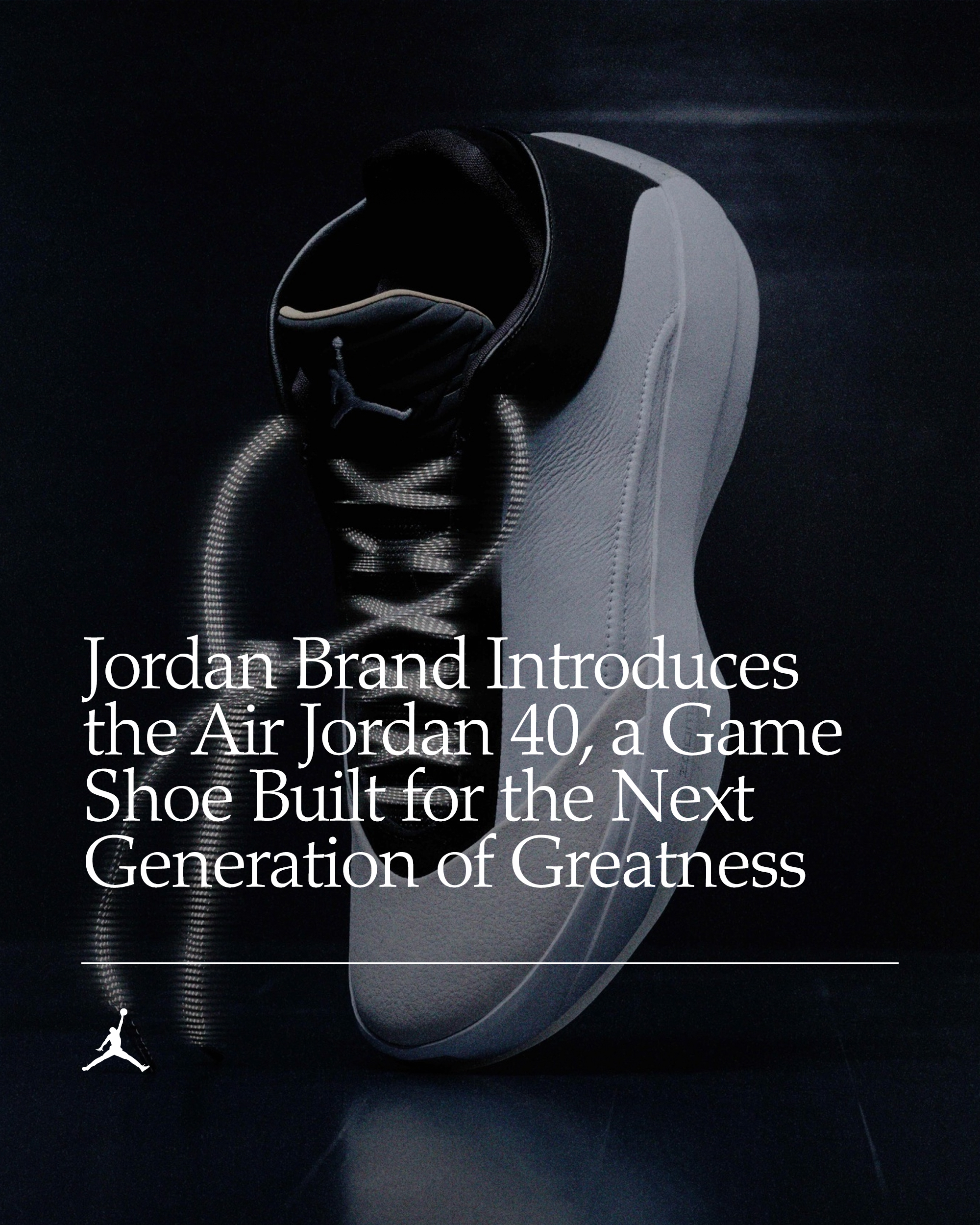 Air Jordan XL