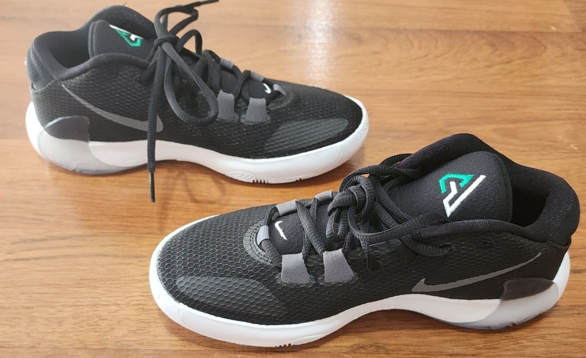 Zoom Freak 1